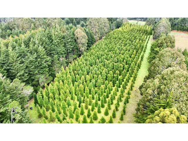 86764 Sydnam Ln, Bandon, OR 97411