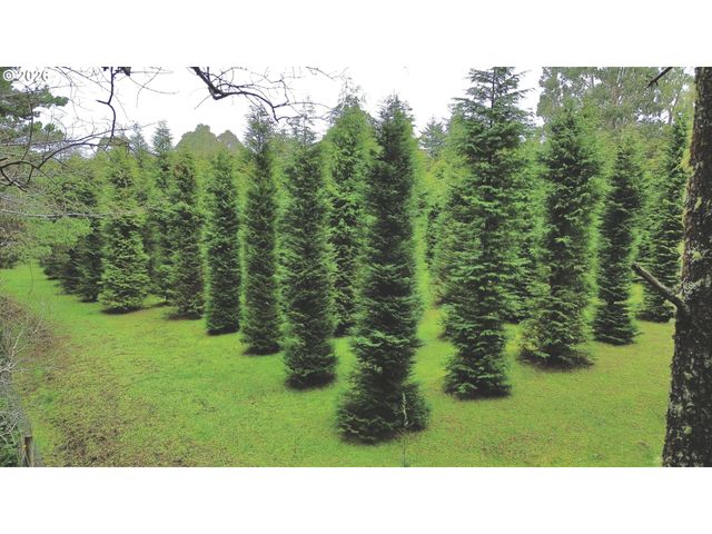 86764 Sydnam Ln, Bandon, OR 97411