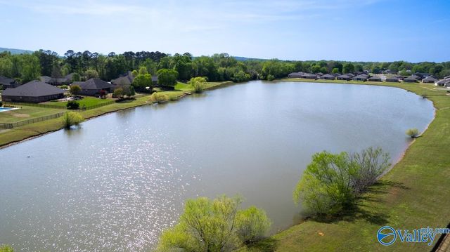 144 Inspirational Drive, Meridianville, AL 35759