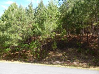 #361 The Cove At Thirteen Hundred, Blairsville, GA 30512
