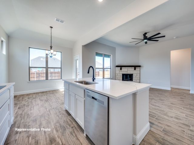 325 Skeen Peak, Springtown, TX 76082