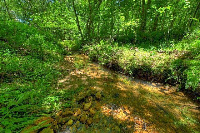 6385 Hwy 2, Epworth, GA 30541