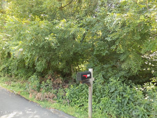 Tbd Lakeshore Circle, Rogersville, TN 37857