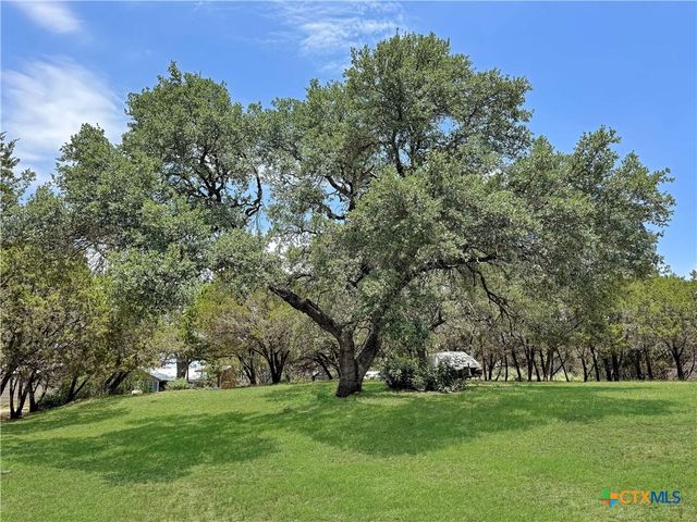 823 Trail Crest Drive, Canyon Lake, TX 78133