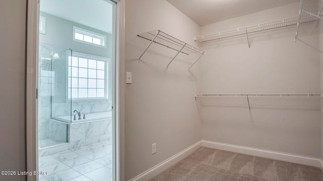 204 Chestnut Grove Ct, Louisville, KY 40023