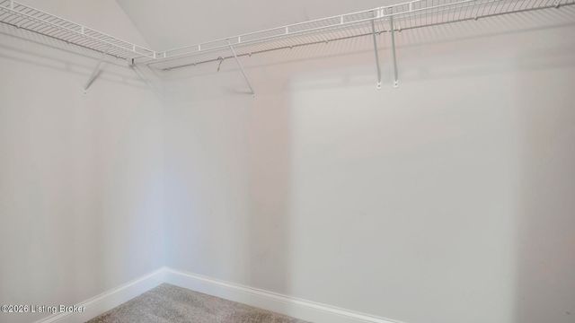 204 Chestnut Grove Ct, Louisville, KY 40023