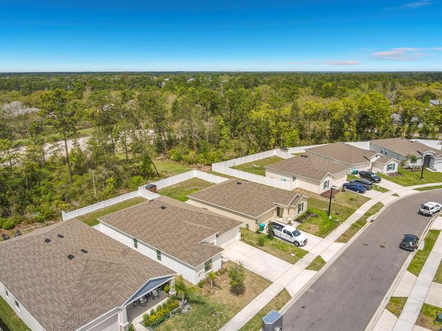 1312 Peach Creek Drive, Osteen, FL 32764