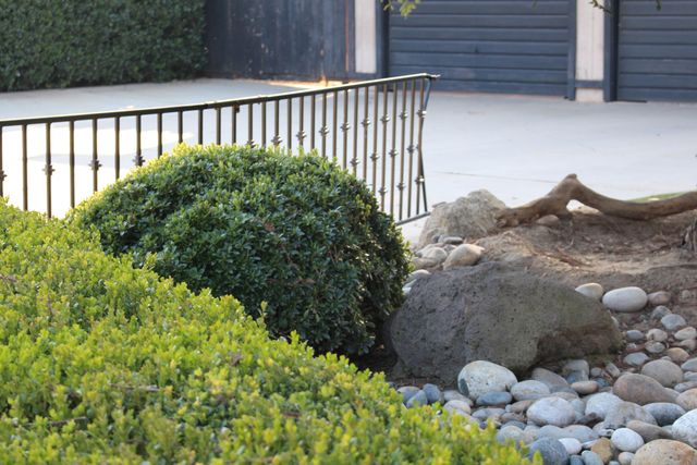 445 E Chevy Chase Drive E, Tulare, CA 93274