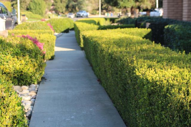 445 E Chevy Chase Drive E, Tulare, CA 93274