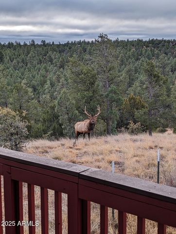 2901 RIDGE Circle, Overgaard, AZ 85933