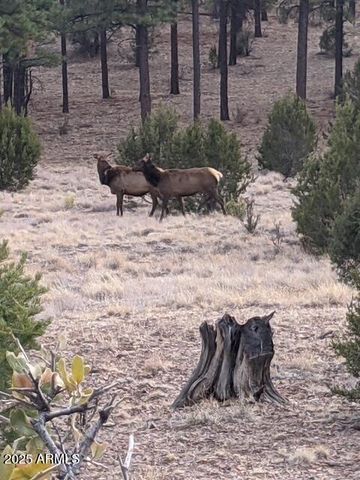 2901 RIDGE Circle, Overgaard, AZ 85933