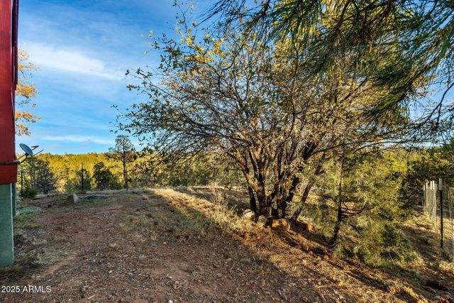 2901 RIDGE Circle, Overgaard, AZ 85933
