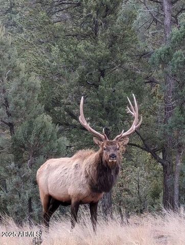 2901 RIDGE Circle, Overgaard, AZ 85933