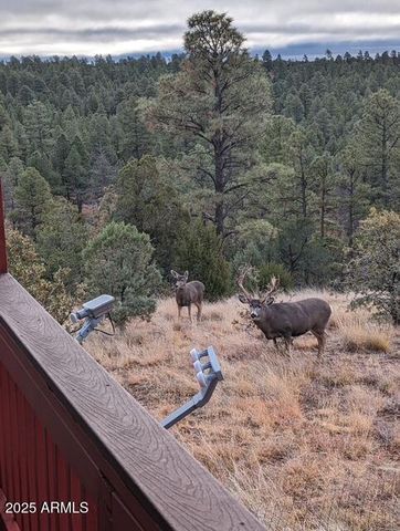 2901 RIDGE Circle, Overgaard, AZ 85933