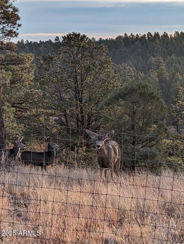 2901 RIDGE Circle, Overgaard, AZ 85933