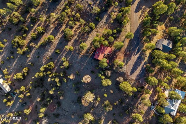 2901 RIDGE Circle, Overgaard, AZ 85933