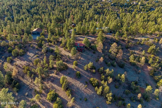 2901 RIDGE Circle, Overgaard, AZ 85933
