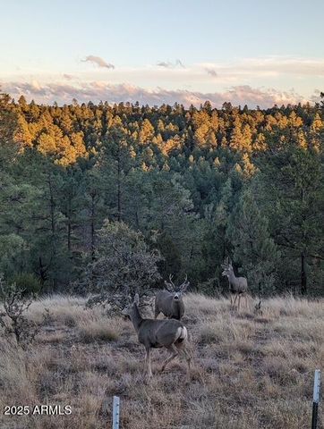 2901 RIDGE Circle, Overgaard, AZ 85933