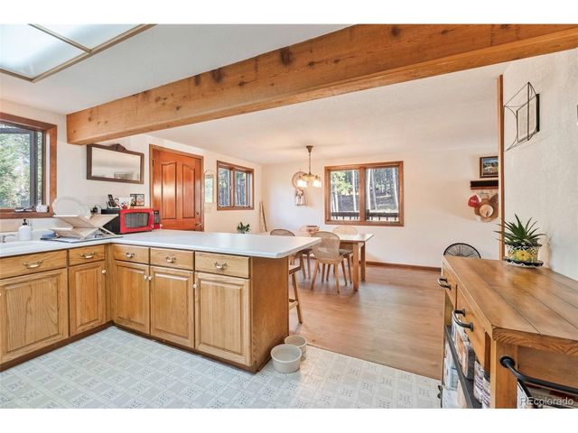 100 Raptor Point Rd, Golden, CO 80403