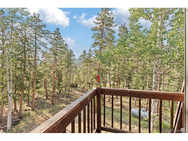100 Raptor Point Rd, Golden, CO 80403