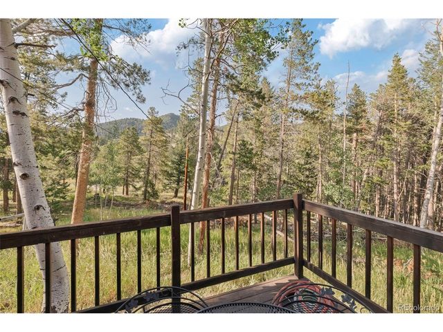 100 Raptor Point Rd, Golden, CO 80403