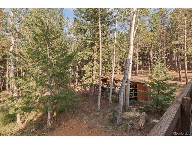 100 Raptor Point Rd, Golden, CO 80403