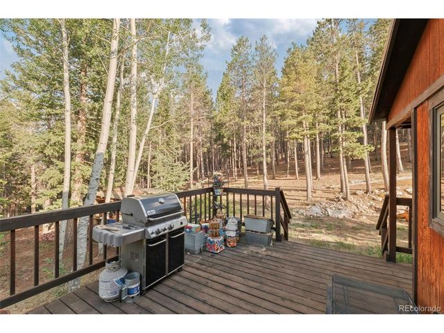100 Raptor Point Rd, Golden, CO 80403