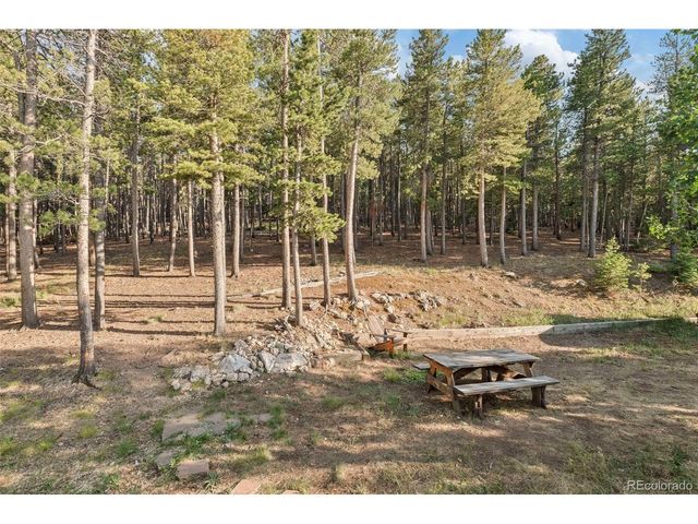 100 Raptor Point Rd, Golden, CO 80403