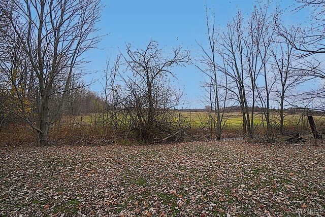 4449 Saunders Sett Road North, Cambria, NY 14094