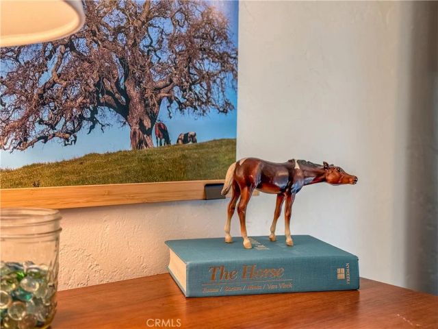 5275 State Highway 49 North, Mariposa, CA 95338