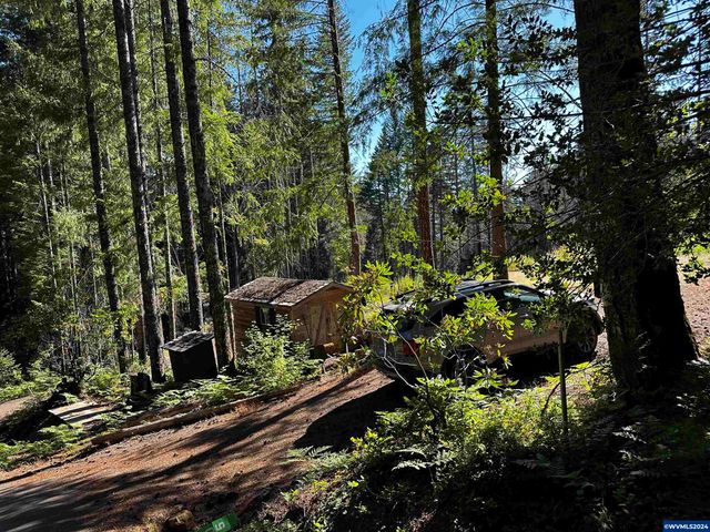 105 Osprey Ln, Detroit, OR 97342