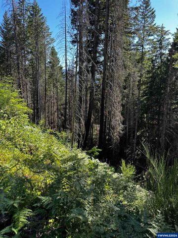 105 Osprey Ln, Detroit, OR 97342