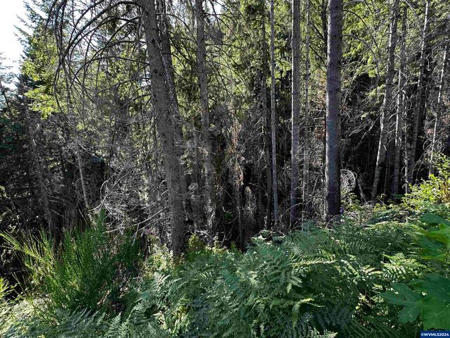 105 Osprey Ln, Detroit, OR 97342