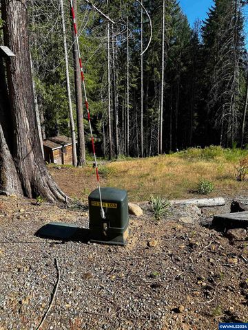 105 Osprey Ln, Detroit, OR 97342