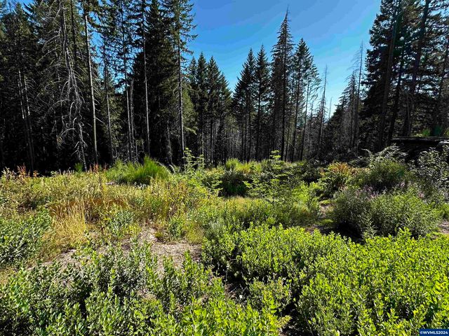 105 Osprey Ln, Detroit, OR 97342