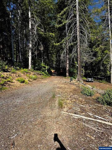 105 Osprey Ln, Detroit, OR 97342