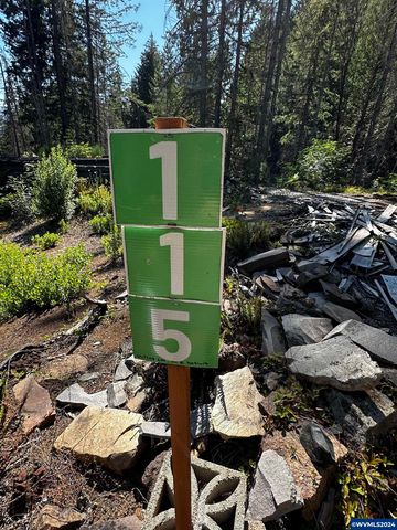 105 Osprey Ln, Detroit, OR 97342