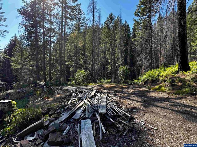 105 Osprey Ln, Detroit, OR 97342