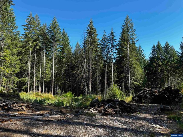 105 Osprey Ln, Detroit, OR 97342