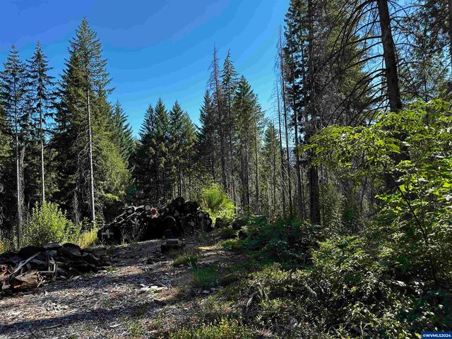 105 Osprey Ln, Detroit, OR 97342