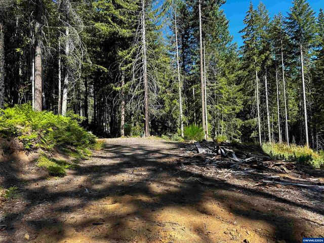 105 Osprey Ln, Detroit, OR 97342