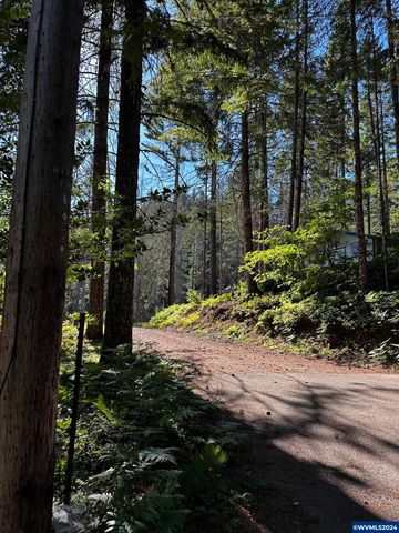 105 Osprey Ln, Detroit, OR 97342