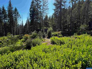 105 Osprey Ln, Detroit, OR 97342