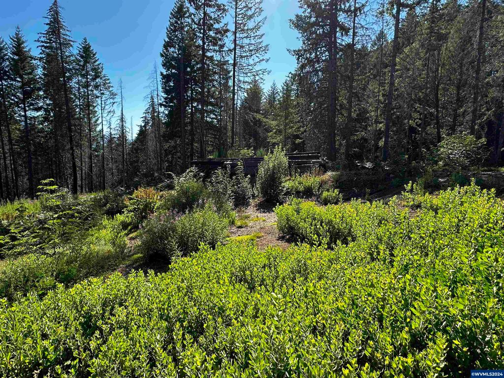 105 Osprey Ln, Detroit, OR 97342