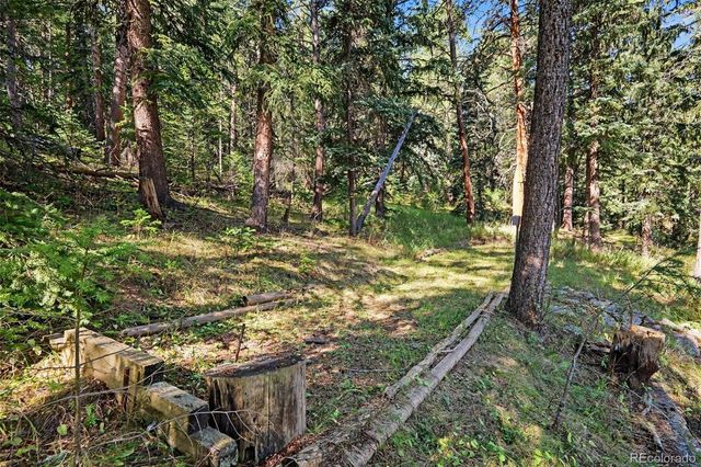 6411 S Summer Road, Morrison, CO 80465