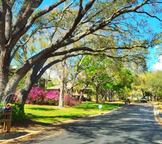 2205 LENNOX ROAD E 2205, Palm Harbor, FL 34683