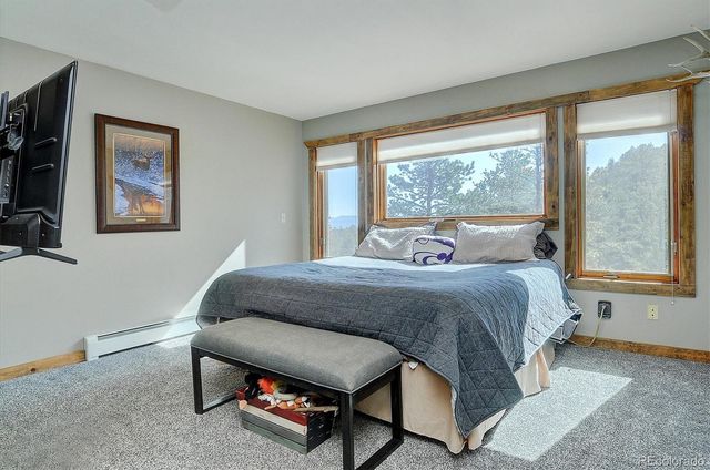 16050 Oppliger Drive, Nathrop, CO 81236