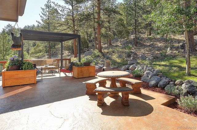 16050 Oppliger Drive, Nathrop, CO 81236