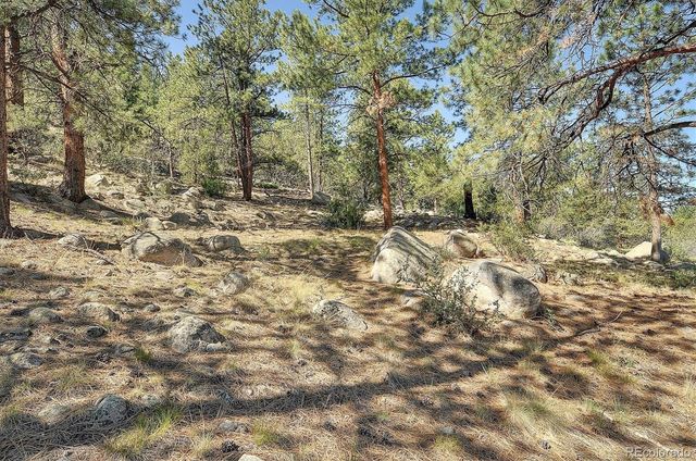 16050 Oppliger Drive, Nathrop, CO 81236