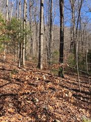000 Romancer Drive, Sylva, NC 28779